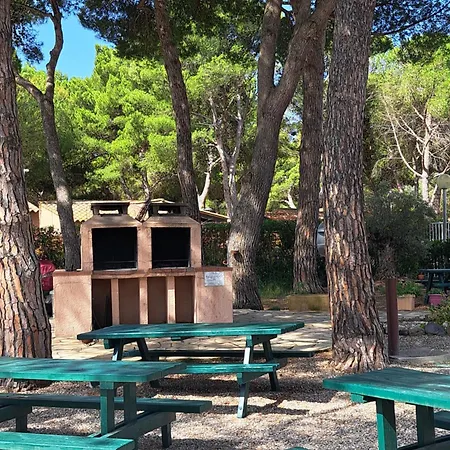 Un Petit Coin De Paradis * Agde