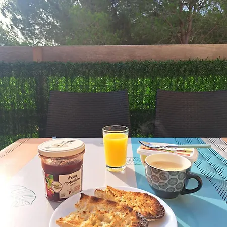 Un Petit Coin De Paradis Appartement